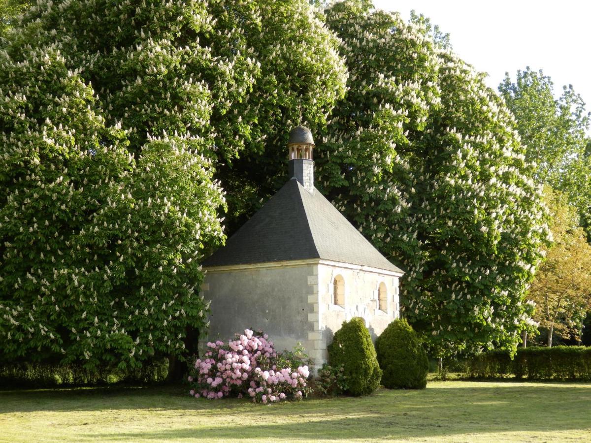 Chateau La Mothaye - Self Catering Apartments With Pool In The Loire Valley Les Bois-d'Anjou Exterior photo